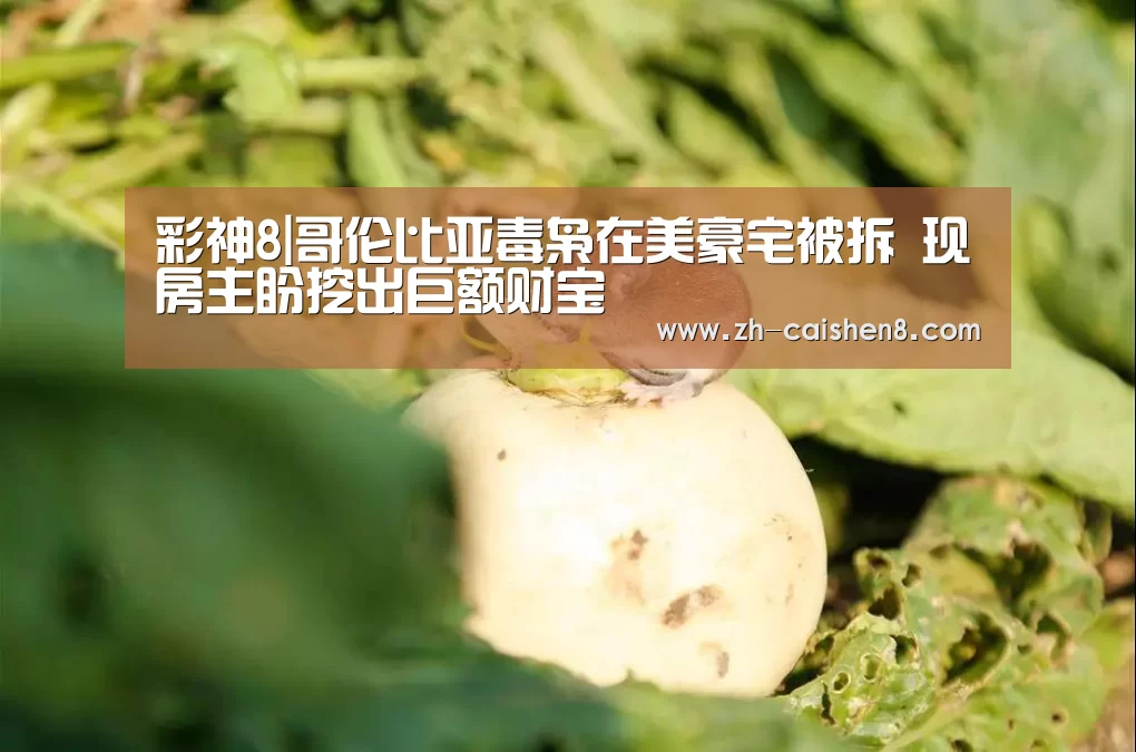 彩神8|哥伦比亚毒枭在美豪宅被拆 现房主盼挖出巨额财宝(图1) 彩神8